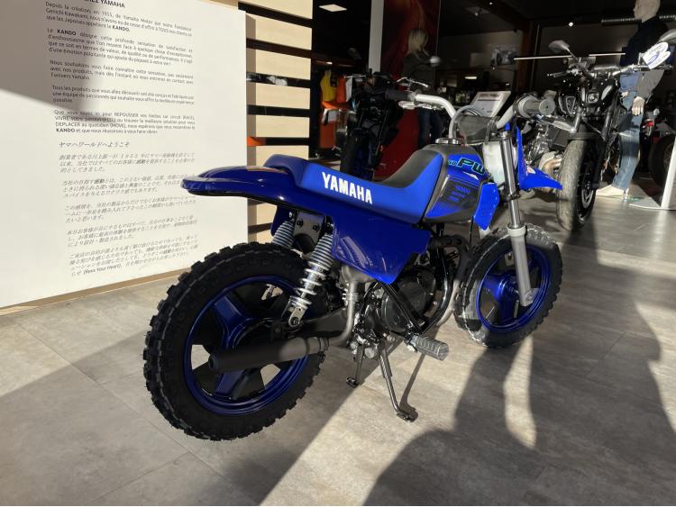 YAMAHA PW50